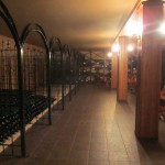 100年の歴史がある貯蔵室。昔のワインを保管していて、時とともにどう変わっていくのかチェックするんだそうです。