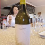 メルセゲラ（Merseguera）と言う品種の白ワイン。元々メルセゲラは、補助品種のブドウだそうです。