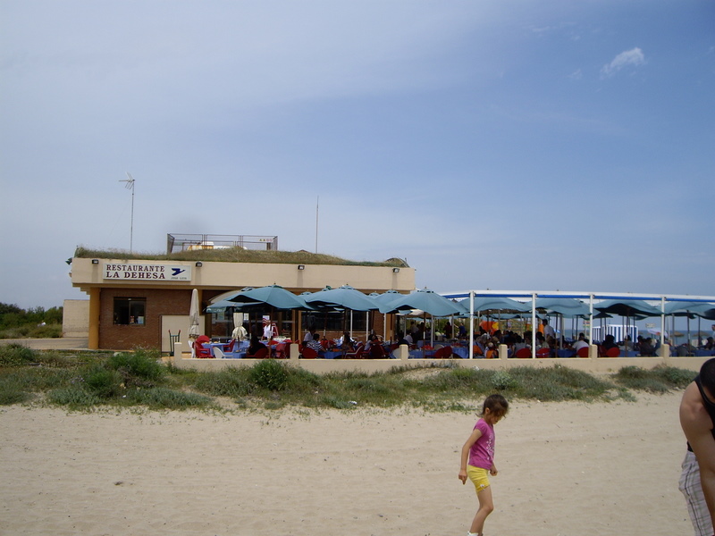 El Saler（エル サレール）のビーチ沿いにあるArroceria（お米料理専門店）、 Restaurant La Dehesa JOSÉ LUIS