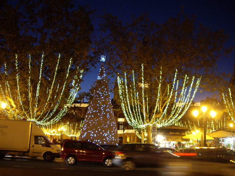 一応市庁舎前には大きなクリスマスツリーが。