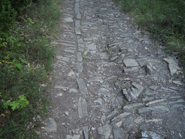 さらに、こんな風な石畳っぽい道...