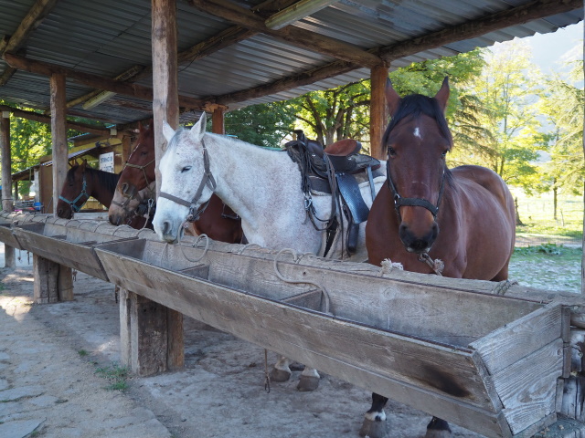 Caballo Sarviséの乗馬散策ツアー