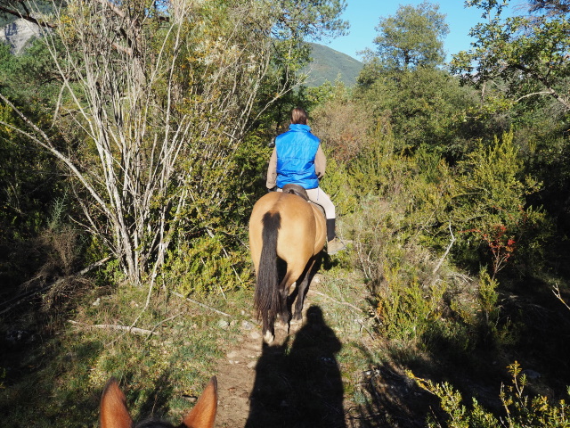 Caballo Sarviséの乗馬散策ツアー、こんな森の中にもはいります。