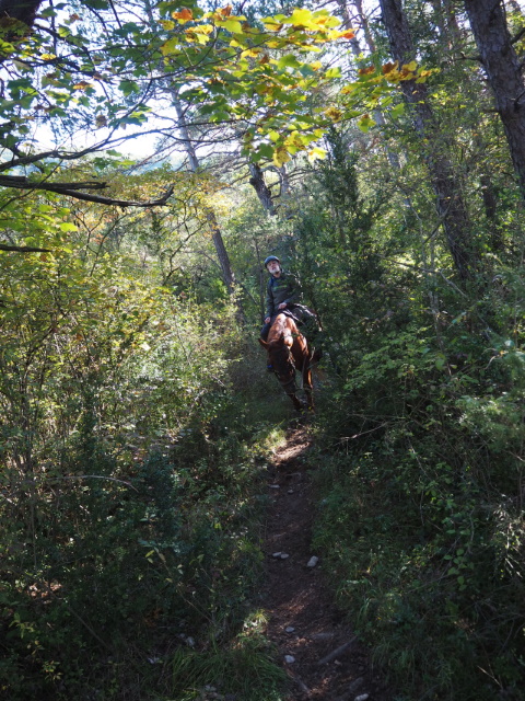 Caballo Sarviséの乗馬散策ツアー、坂道！