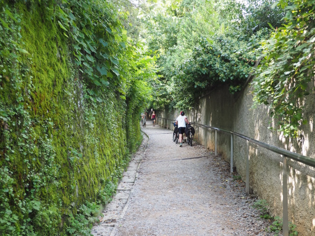 リュブリャナ城への道